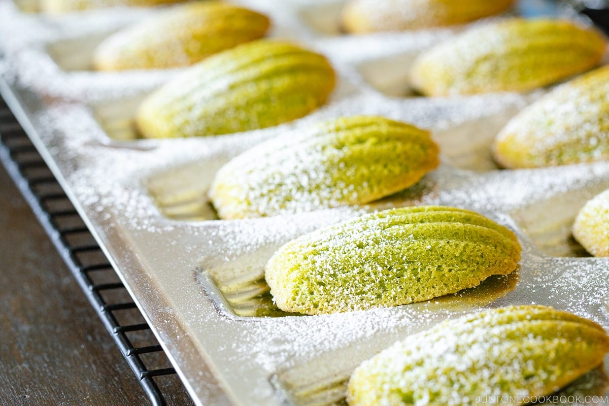Matcha Madeleines 抹茶マドレーヌ • Just One Cookbook